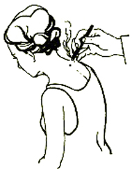 點(diǎn)擊將在新窗口查看全圖